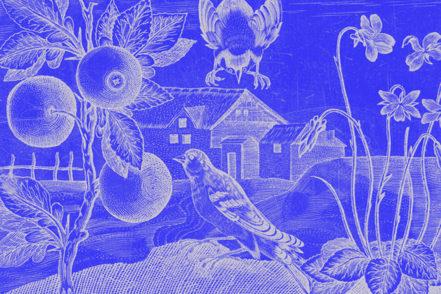 Association Website Redesign vs Optimization