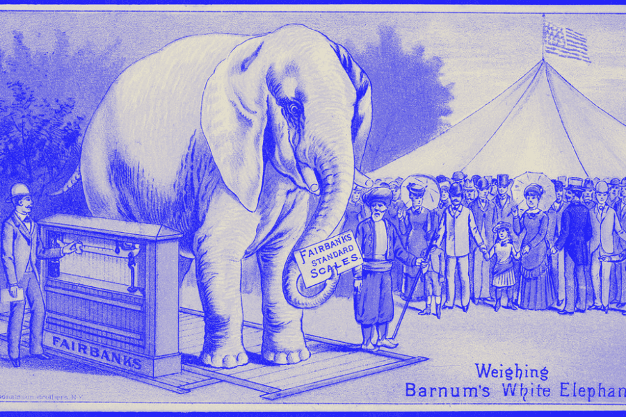 Weighing the CMS Elephant - Umbraco vs. WordPress - AdTelic