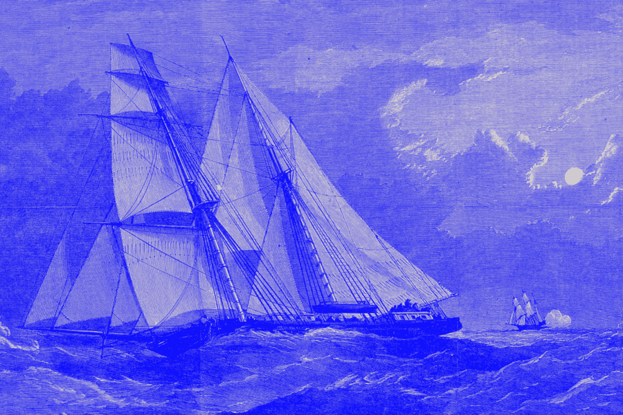 Optimizely Forrest Wave 2023