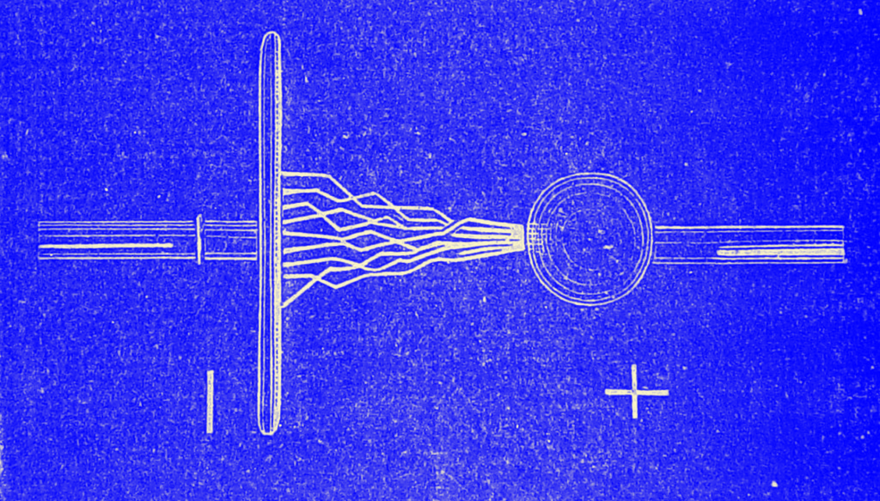 Optimizely NetSpring Acquisition