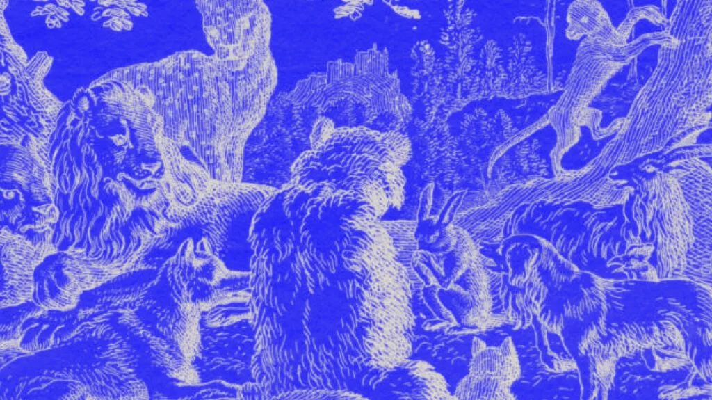 Umbraco SEO Multilingual Sites