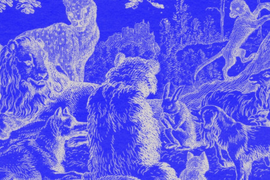 Umbraco SEO Multilingual Sites