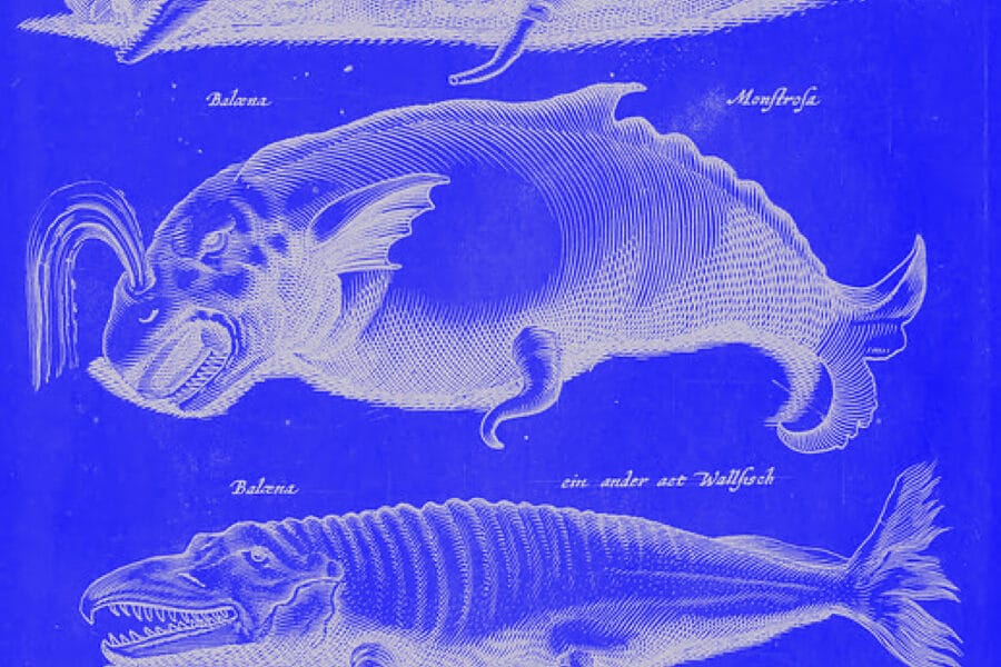 Is Umbraco better than WordPress?