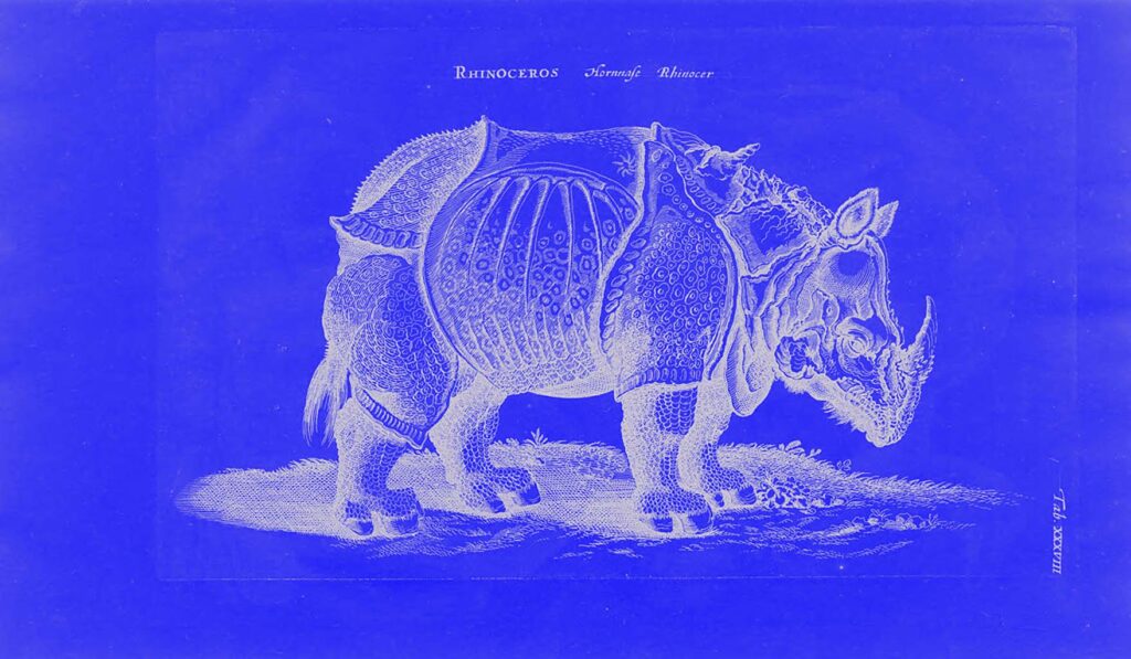 Top Umbraco CMS Features for 2025