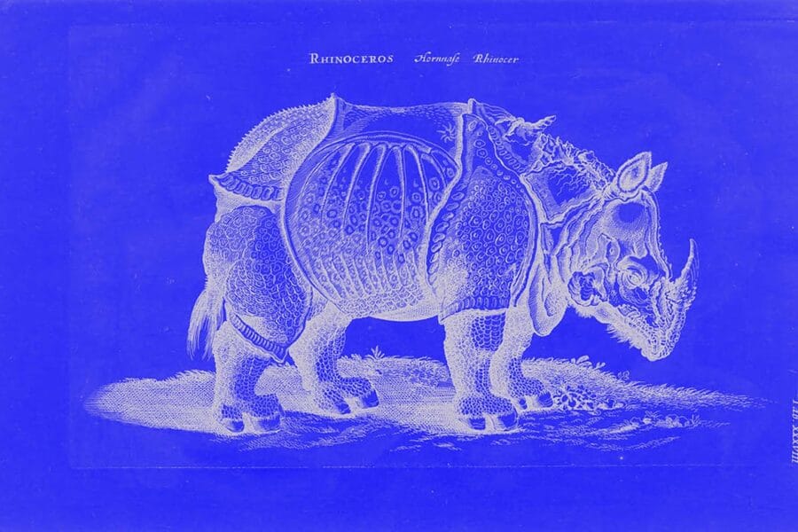 Top Umbraco CMS Features for 2025