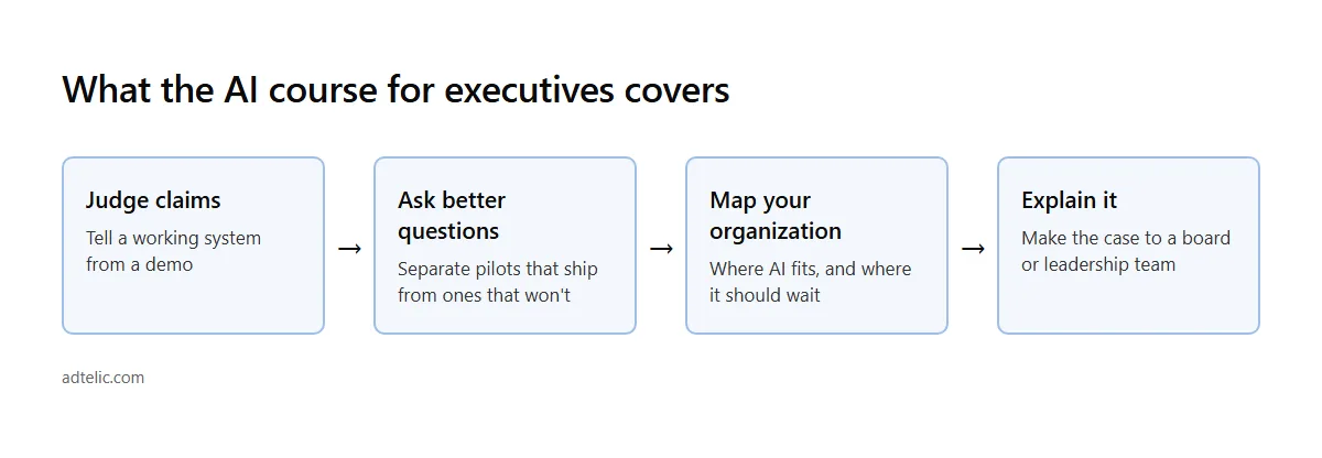 What the AI course for executives covers: judging claims, better questions, mapping, explaining